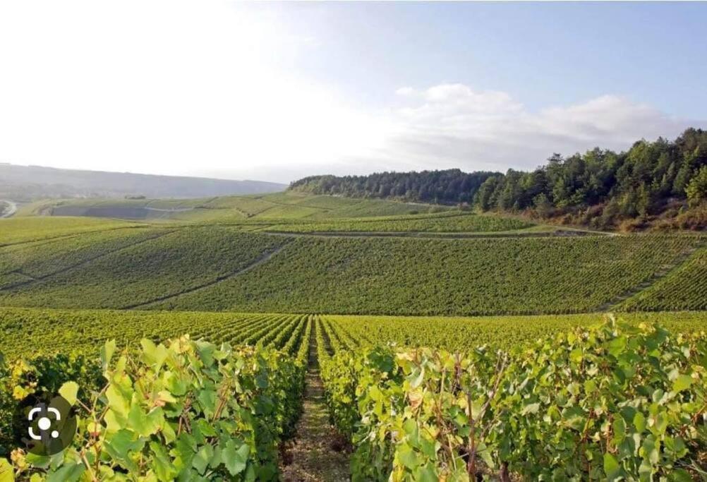 Le Ni' De Jess Vila Migennes Exterior foto